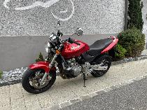 Motorrad kaufen Occasion HONDA CB 600 F Hornet (naked)