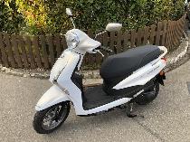 Motorrad kaufen Neufahrzeug YAMAHA LTS 125 Delight (roller)