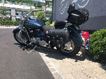 Motorrad kaufen Occasion SUZUKI VL 800 Intruder (custom)