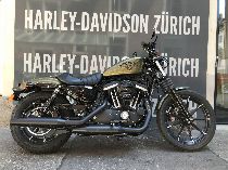 Motorrad kaufen Neufahrzeug HARLEY-DAVIDSON XL 883 N Iron ABS (custom)