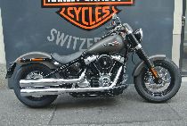 Motorrad kaufen Neufahrzeug HARLEY-DAVIDSON FLSL 1745 Softail Slim 107 (custom)