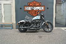 Motorrad kaufen Occasion HARLEY-DAVIDSON XL 1200 NS Sportster Iron (custom)
