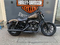 Motorrad kaufen Neufahrzeug HARLEY-DAVIDSON XL 883 N Sportster Iron (custom)