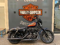 Motorrad kaufen Neufahrzeug HARLEY-DAVIDSON XL 1200 NS Sportster Iron (custom)