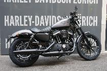 Motorrad kaufen Neufahrzeug HARLEY-DAVIDSON XL 883N Iron ABS (custom)