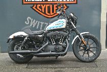 Motorrad kaufen Occasion HARLEY-DAVIDSON XL 1200 NS Sportster Iron (custom)