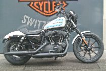 Motorrad kaufen Occasion HARLEY-DAVIDSON XL 1200 NS Sportster Iron (custom)