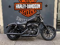 Motorrad kaufen Neufahrzeug HARLEY-DAVIDSON XL 883 N Sportster Iron (custom)