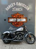 Aquista moto Veicoli nuovi HARLEY-DAVIDSON XL 883 N Sportster Iron (custom)