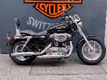 Motorrad kaufen Occasion HARLEY-DAVIDSON XL 1200 C Sportster Custom (custom)