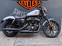 Motorrad kaufen Neufahrzeug HARLEY-DAVIDSON XL 883 N Sportster Iron (custom)