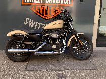Motorrad kaufen Occasion HARLEY-DAVIDSON XL 883 N Iron ABS (custom)