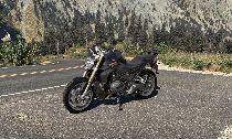 Motorrad kaufen Neufahrzeug BMW R 1250 R (naked)