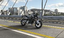 Motorrad kaufen Neufahrzeug BMW F 900 R A2 (naked)