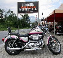 Motorrad kaufen Occasion HARLEY-DAVIDSON XL 1200 C Sportster Custom (custom)