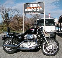 Motorrad kaufen Occasion HARLEY-DAVIDSON XLH 883 STD Sportster (custom)