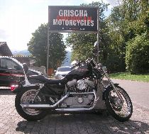 Motorrad kaufen Occasion HARLEY-DAVIDSON XL 883 53C Sportster (custom)