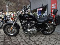 Motorrad kaufen Occasion HARLEY-DAVIDSON XL 1200 C Sportster Custom ABS (custom)
