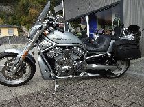 Motorrad kaufen Occasion HARLEY-DAVIDSON VRSCDX 1250 Night-Rod Special ABS Anniversary (custom)