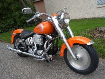 Motorrad kaufen Occasion HARLEY-DAVIDSON FLSTF 1340 Softail Fat Boy (custom)