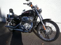 Motorrad kaufen Occasion HARLEY-DAVIDSON XL 883 C Sportster Custom 25kW (custom)