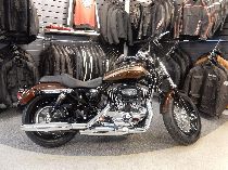 Motorrad kaufen Neufahrzeug HARLEY-DAVIDSON XL 1200 C Sportster Custom (custom)