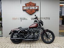 Motorrad kaufen Occasion HARLEY-DAVIDSON XL 1200 NS Sportster Iron (custom)