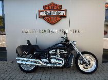 Motorrad kaufen Occasion HARLEY-DAVIDSON VRSCD 1130 V-Rod Night Rod (custom)