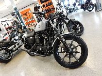 Motorrad kaufen Neufahrzeug HARLEY-DAVIDSON XL 883 N Sportster Iron (custom)
