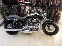 Motorrad kaufen Neufahrzeug HARLEY-DAVIDSON XL 1200 C Sportster Custom (custom)