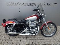 Motorrad kaufen Occasion HARLEY-DAVIDSON XL 1200 C Sportster Custom (custom)