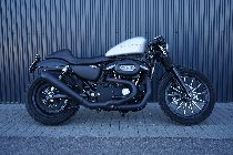 Motorrad kaufen Occasion HARLEY-DAVIDSON XL 883 N Iron (custom)