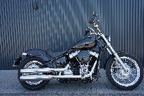 Motorrad kaufen Neufahrzeug HARLEY-DAVIDSON FXST 1745 Softail Standard 107 (custom)