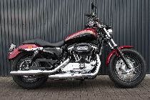 Motorrad kaufen Occasion HARLEY-DAVIDSON XL 1200 C Sportster Custom (custom)