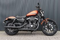 Motorrad kaufen Neufahrzeug HARLEY-DAVIDSON XL 883 N Sportster Iron (custom)
