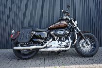 Motorrad kaufen Occasion HARLEY-DAVIDSON XL 1200 C Sportster Custom (custom)