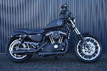Motorrad kaufen Occasion HARLEY-DAVIDSON XL 883 R Sportster Roadster ABS (custom)