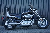 Motorrad kaufen Occasion HARLEY-DAVIDSON XL 1200 C Sportster Custom (custom)