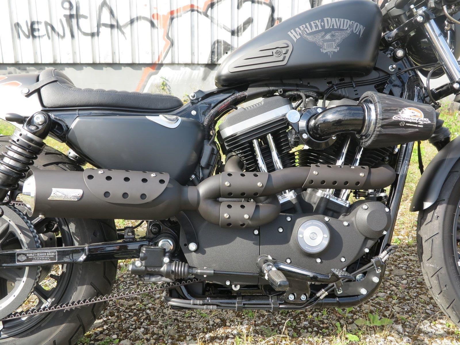 Harley Davidson Iron Neupreis Harley Davidson Iron Neupreis