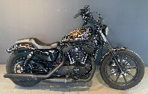 Motorrad kaufen Occasion HARLEY-DAVIDSON XL 1200 NS Sportster Iron (custom)