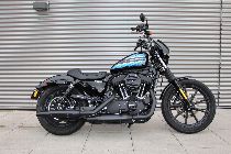 Motorrad kaufen Occasion HARLEY-DAVIDSON XL 1200 NS Sportster Iron (custom)