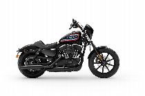 Motorrad kaufen Neufahrzeug HARLEY-DAVIDSON XL 1200 NS Sportster Iron (custom)