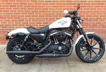 Motorrad kaufen Neufahrzeug HARLEY-DAVIDSON XL 883 N Sportster Iron (custom)