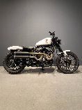 Motorrad kaufen Neufahrzeug HARLEY-DAVIDSON XL 1200CX Sportster Roadster (custom)