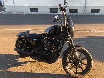 Motorrad kaufen Neufahrzeug HARLEY-DAVIDSON XL 1200 NS Sportster Iron (custom)