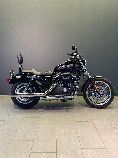 Motorrad kaufen Occasion HARLEY-DAVIDSON XL 883 R Sportster Roadster ABS (custom)