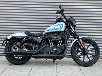 Motorrad Mieten & Roller Mieten HARLEY-DAVIDSON XL 1200 NS Sportster Iron (Custom)