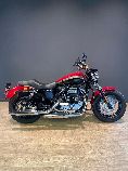 Motorrad kaufen Vorführmodell HARLEY-DAVIDSON XL 1200 C Sportster Custom (custom)