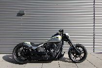 Motorrad kaufen Neufahrzeug HARLEY-DAVIDSON FXSTB 1584 Softail Night Train (custom)