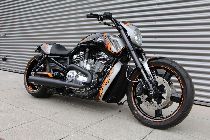 Motorrad kaufen Neufahrzeug HARLEY-DAVIDSON VRSCF 1250 V-Rod Muscle ABS (custom)